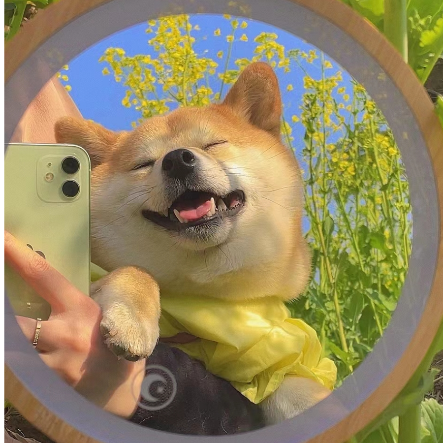 神不愣灯