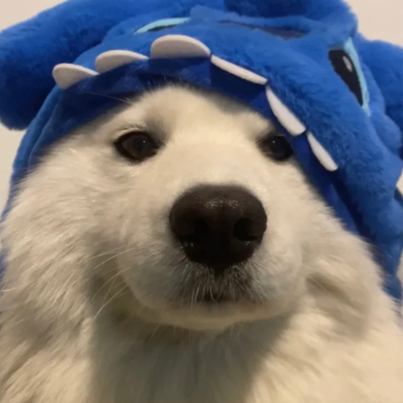 念