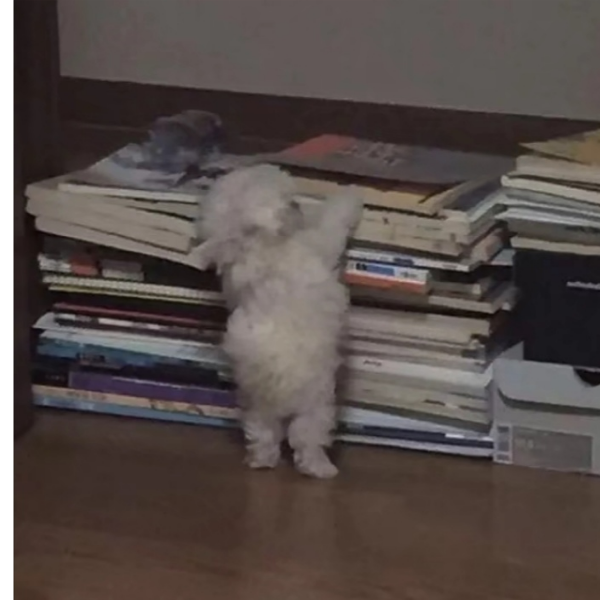 快乐修勾