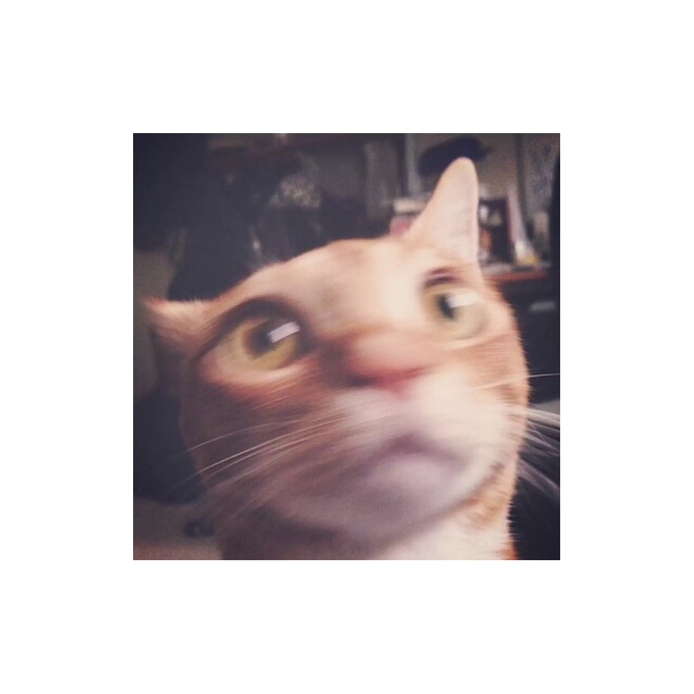 韩.