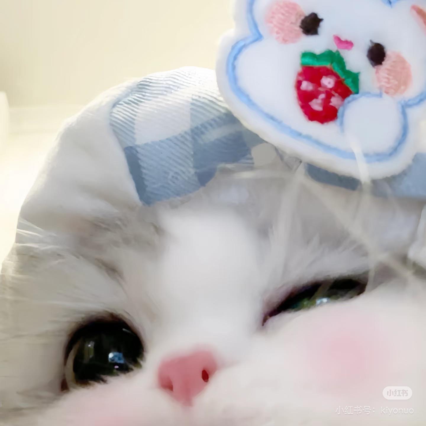 嗯