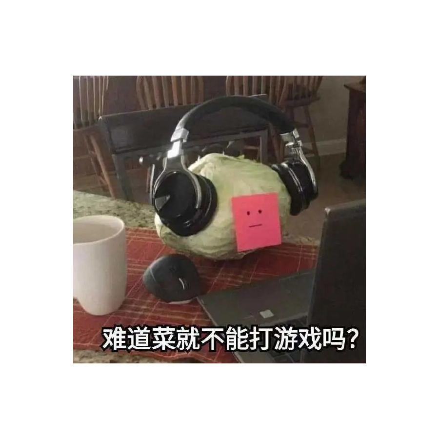 鸽鸽！