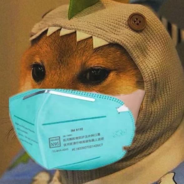 沐恩