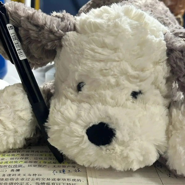 羊仔本仔