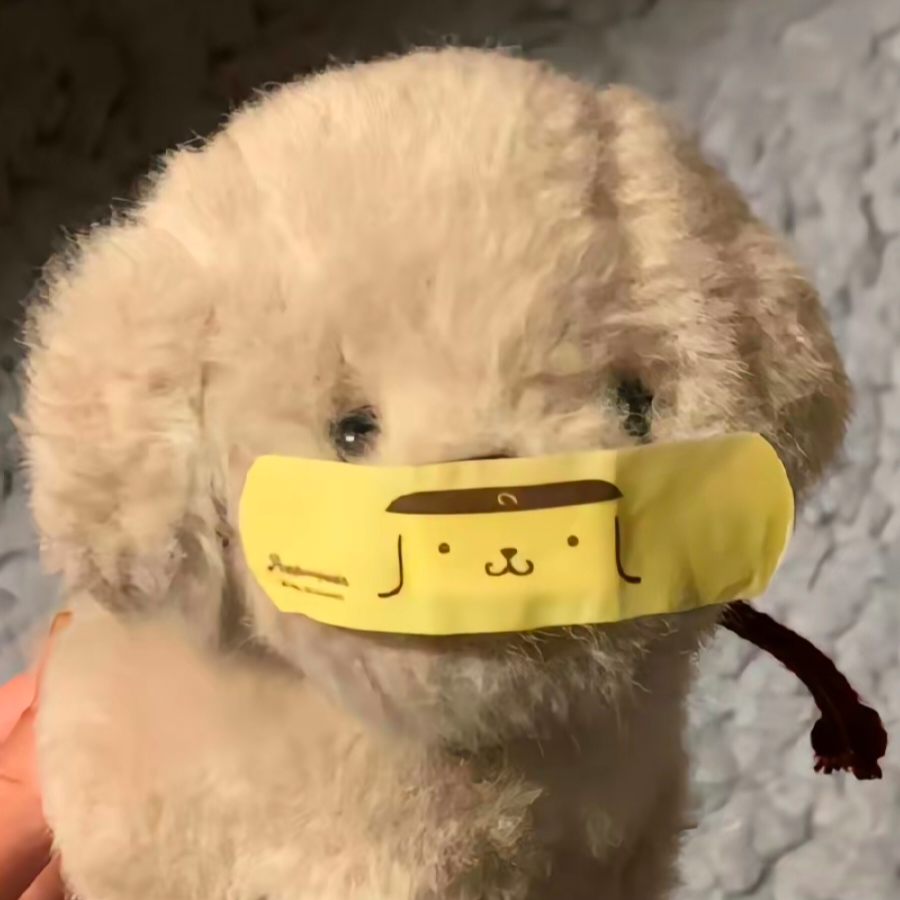 午憩后
