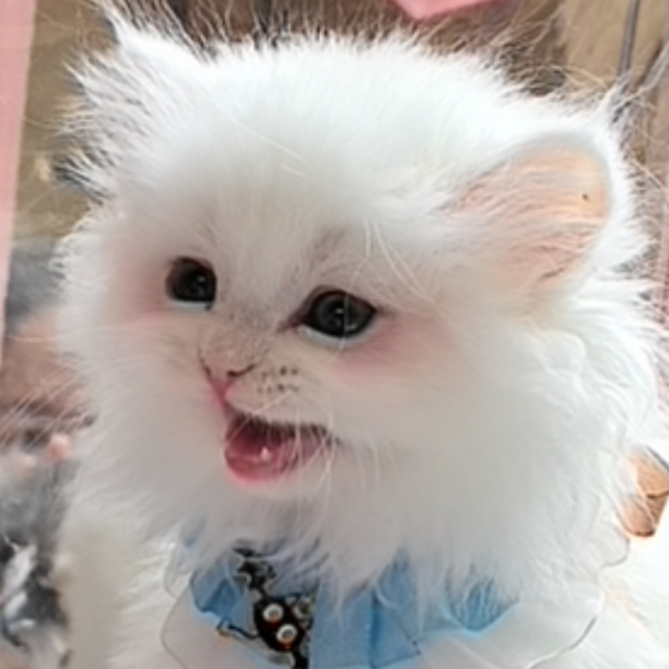 鎐煕