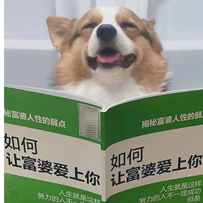ソ邻家小哥