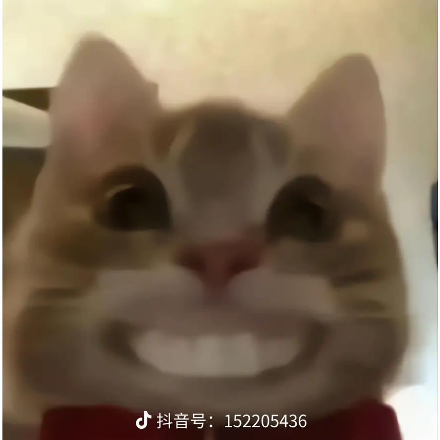 爱喝玉米糊糊的粥粥