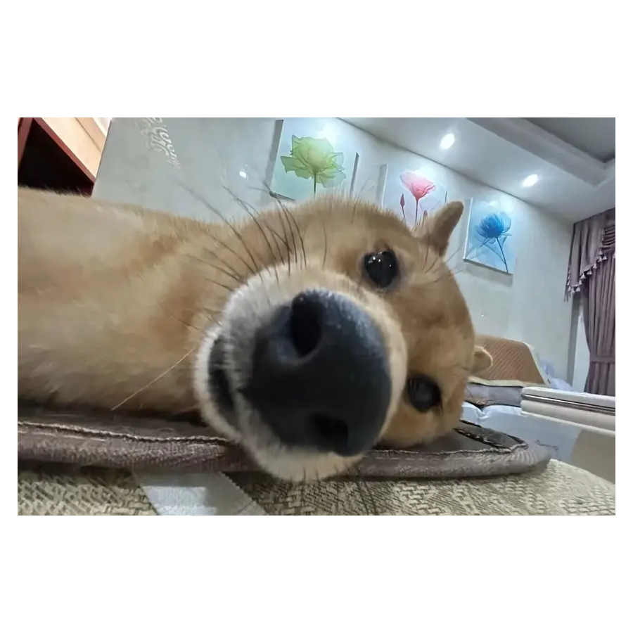 逢秋