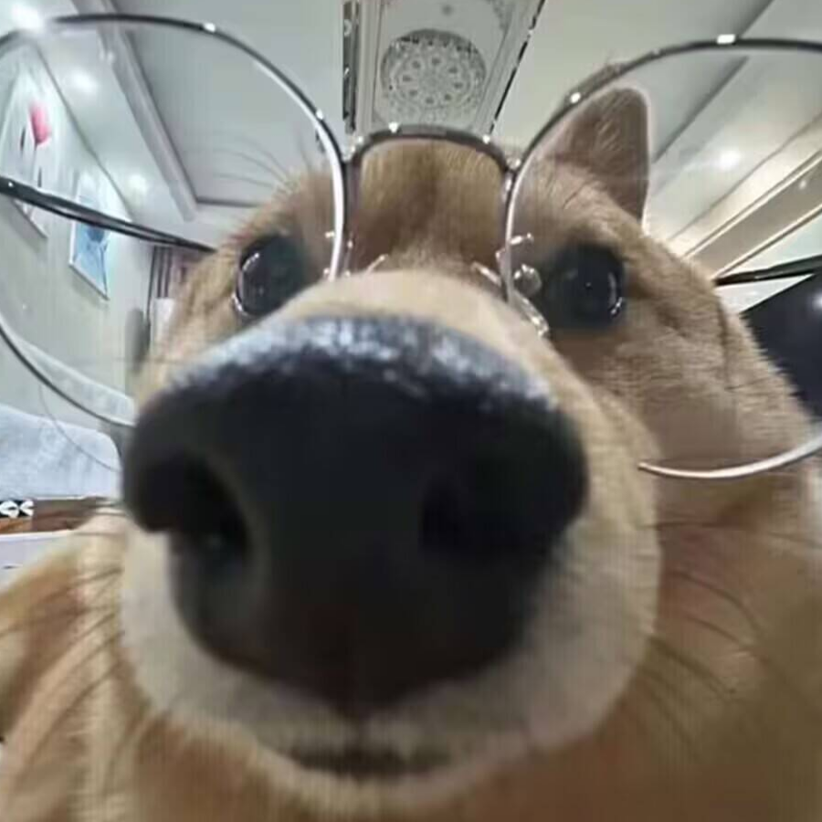 祁菥