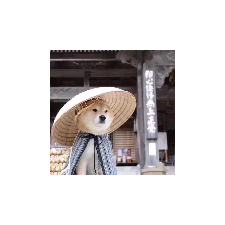 低调低调