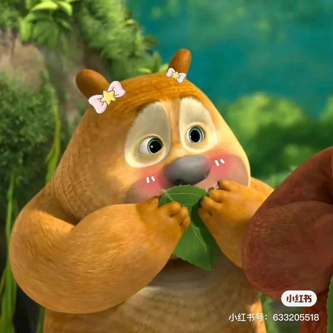 新品游戏官小熊