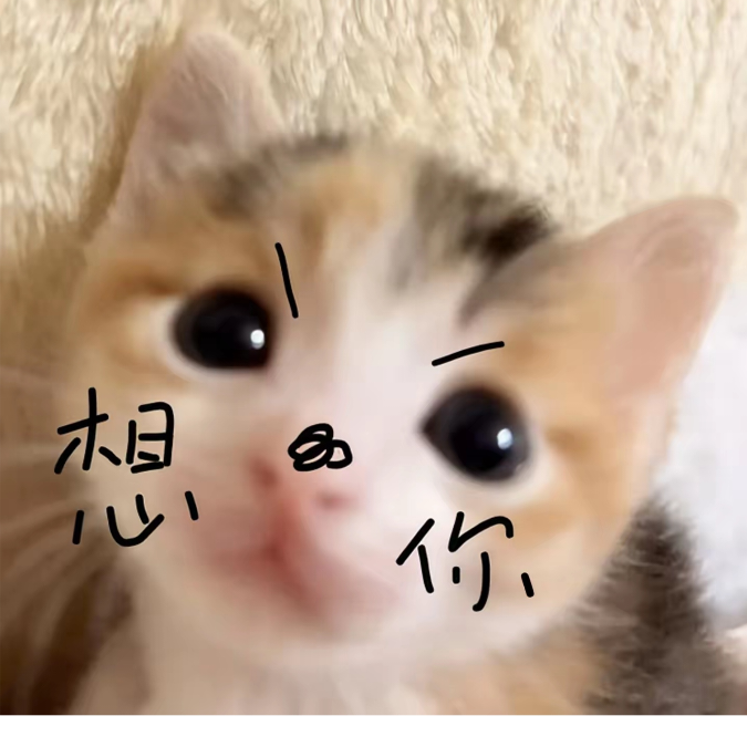 张洪娟低调点