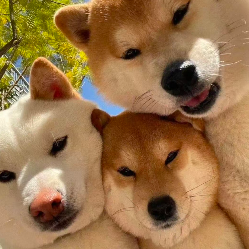 7人