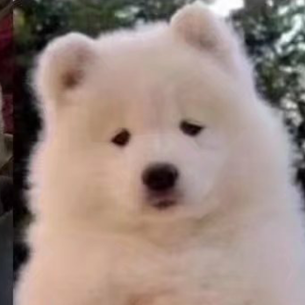 不管辽