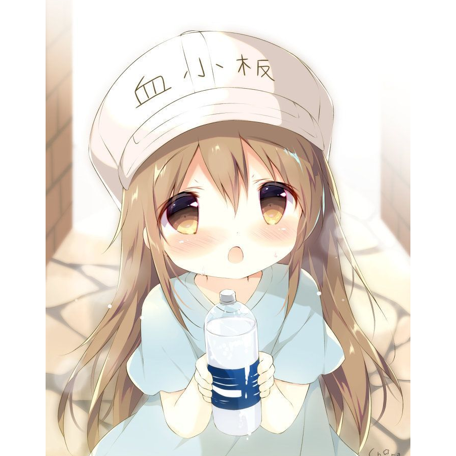 胡同里有只猫
