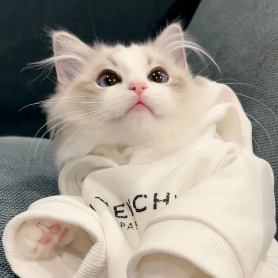 木昊
