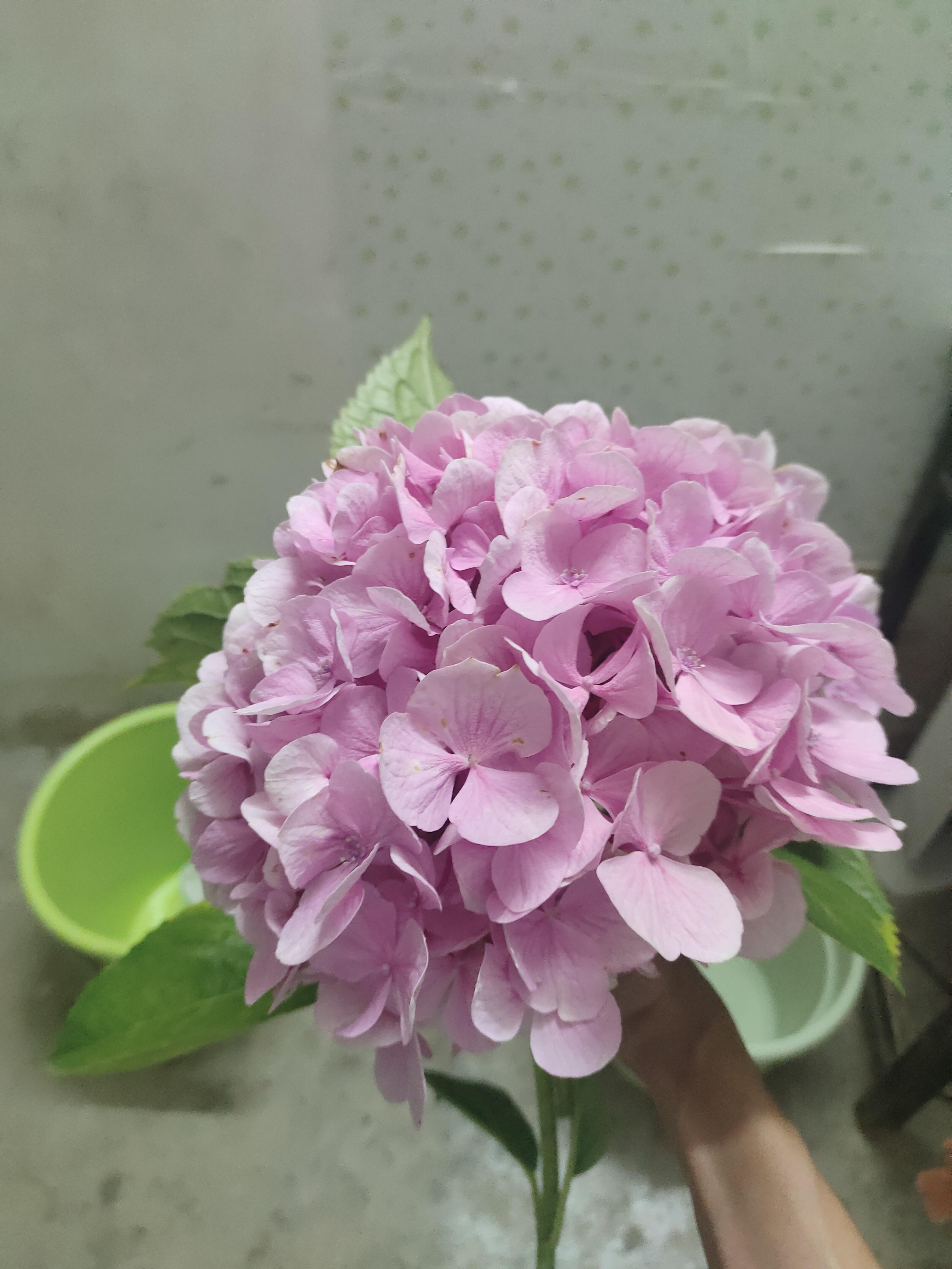 略略略