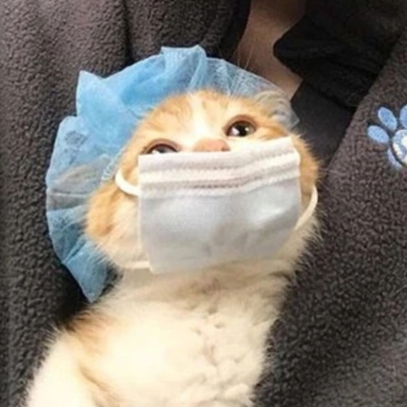 HJIU