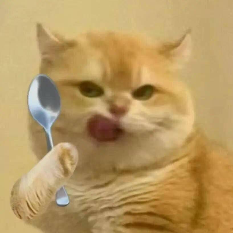 杰宝不笨哦