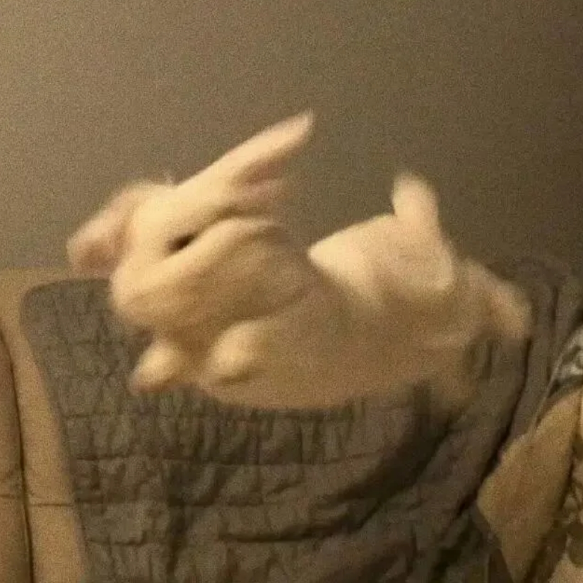 电竞兔崽子