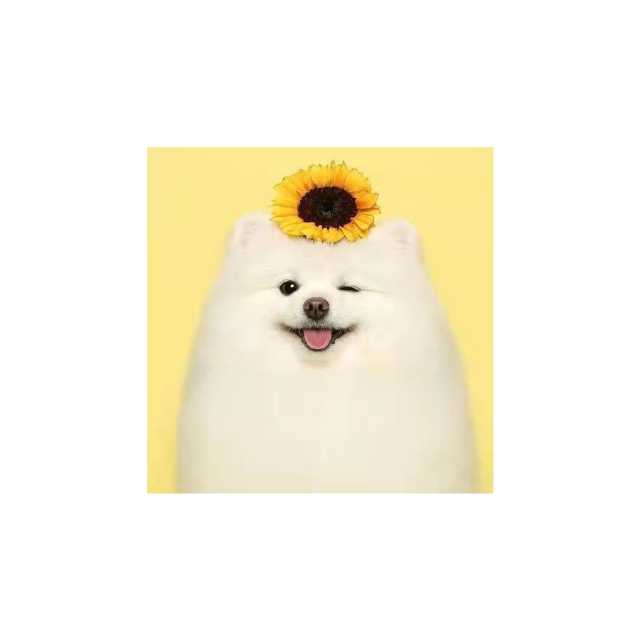 瑾