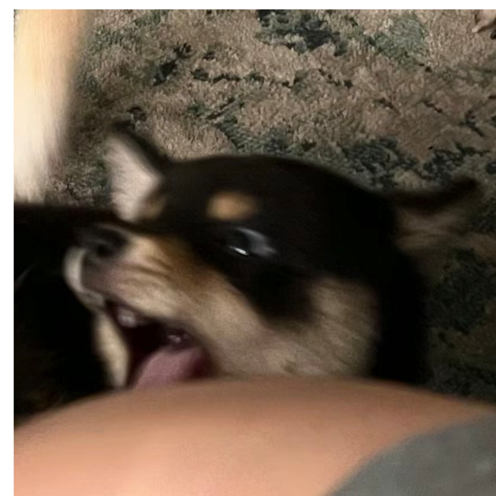 遇