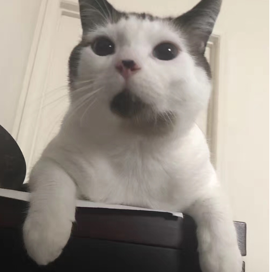 策策的智力百科