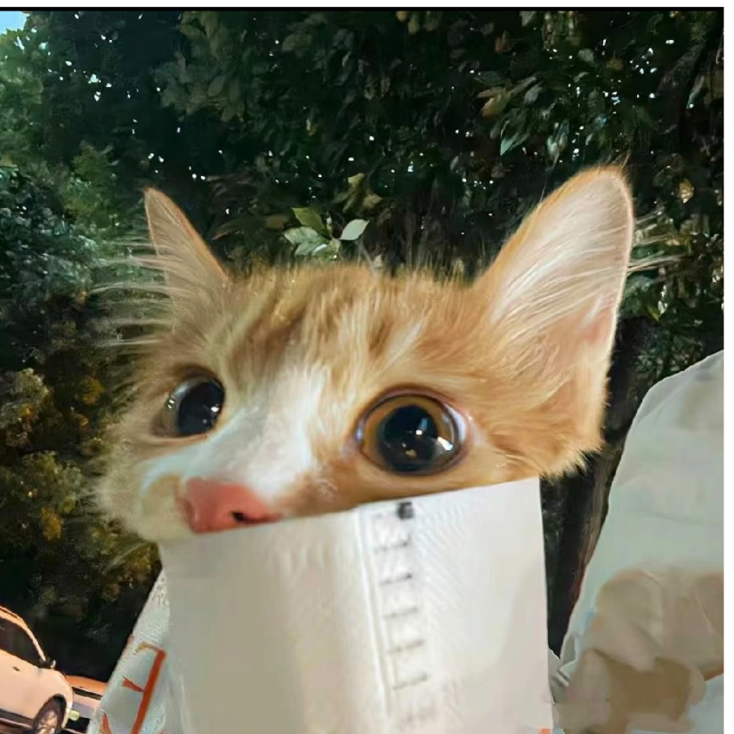 夏天的柚子茶