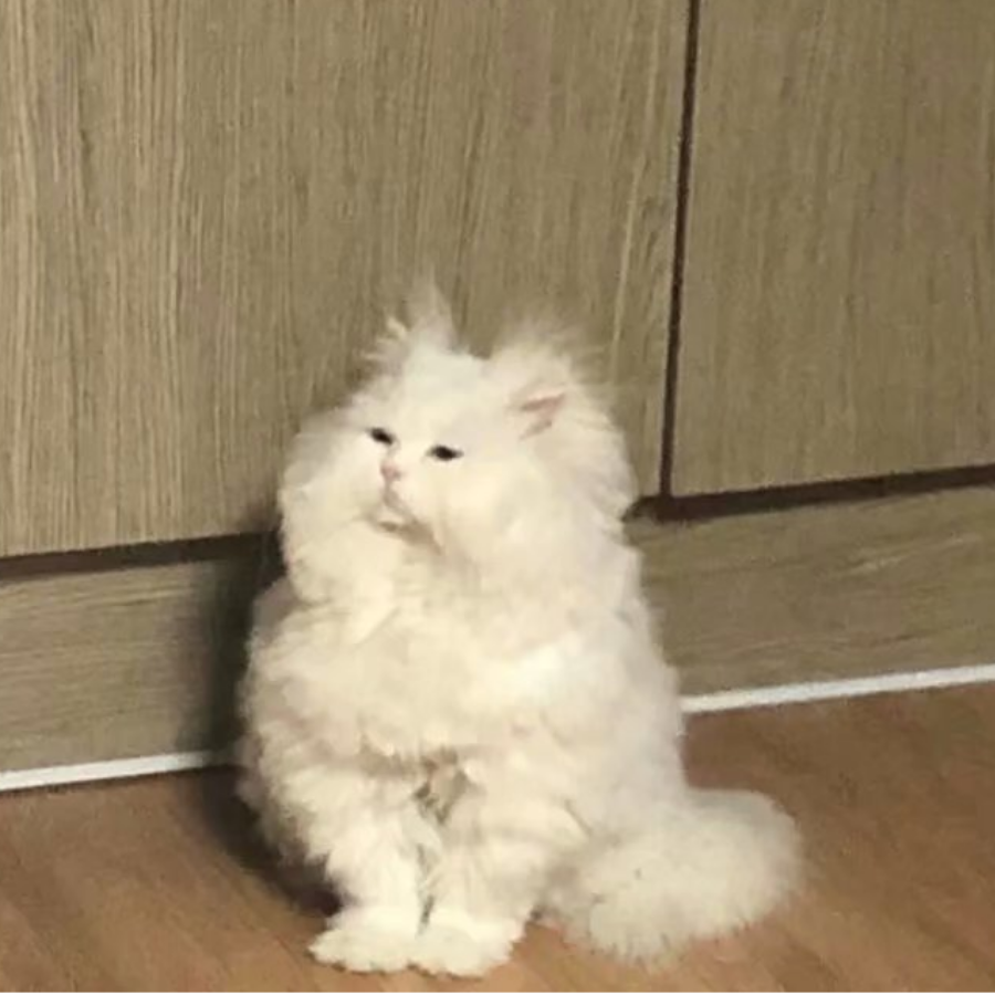 馒头
