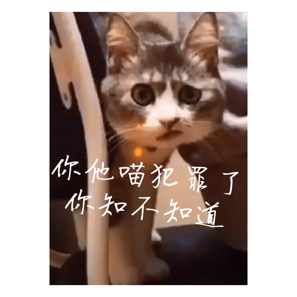 ད༻༒༺ཌ