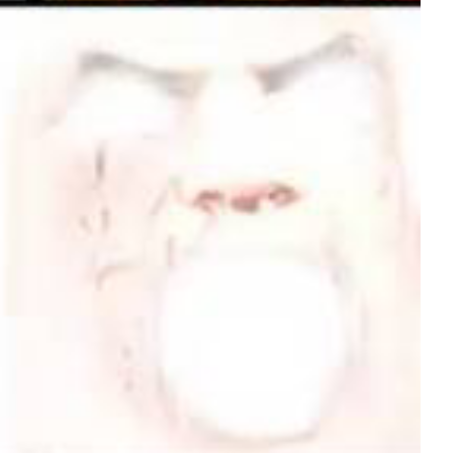 ＞   ~    ＜