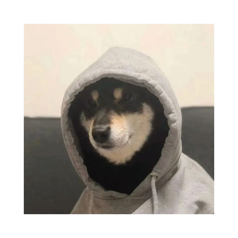 斑马睡了吗
