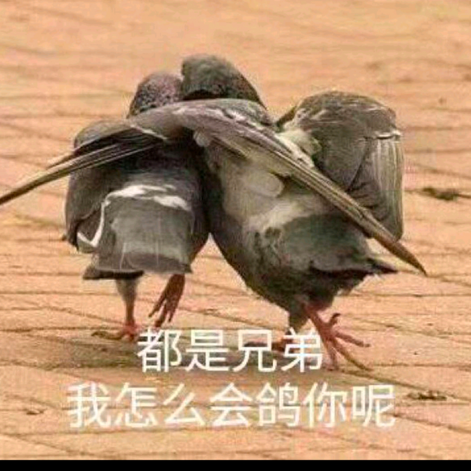 神权咕咕