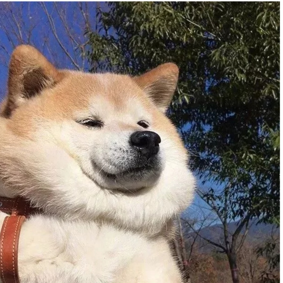 .
