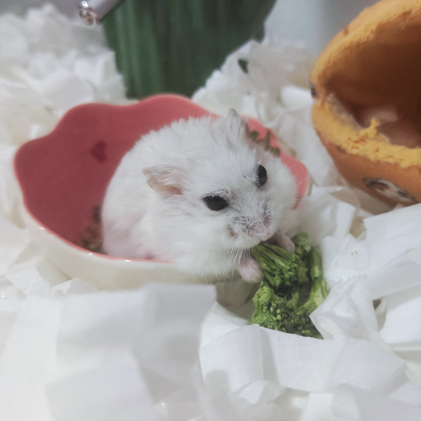一片留白