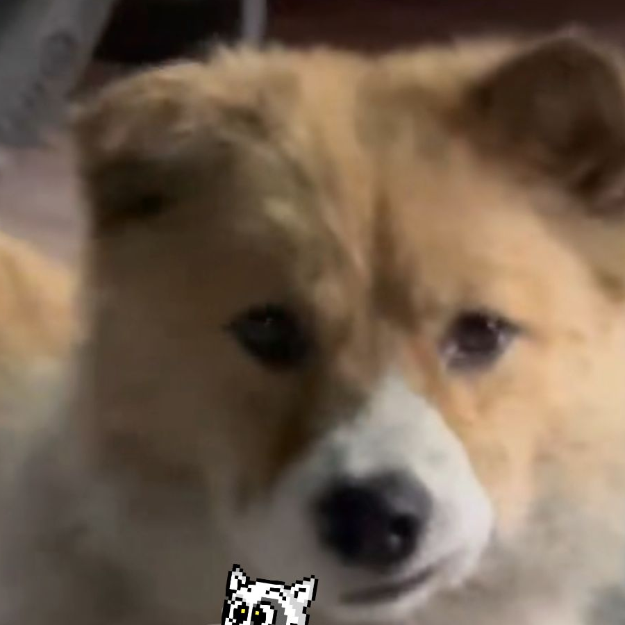 我能变成光吗？