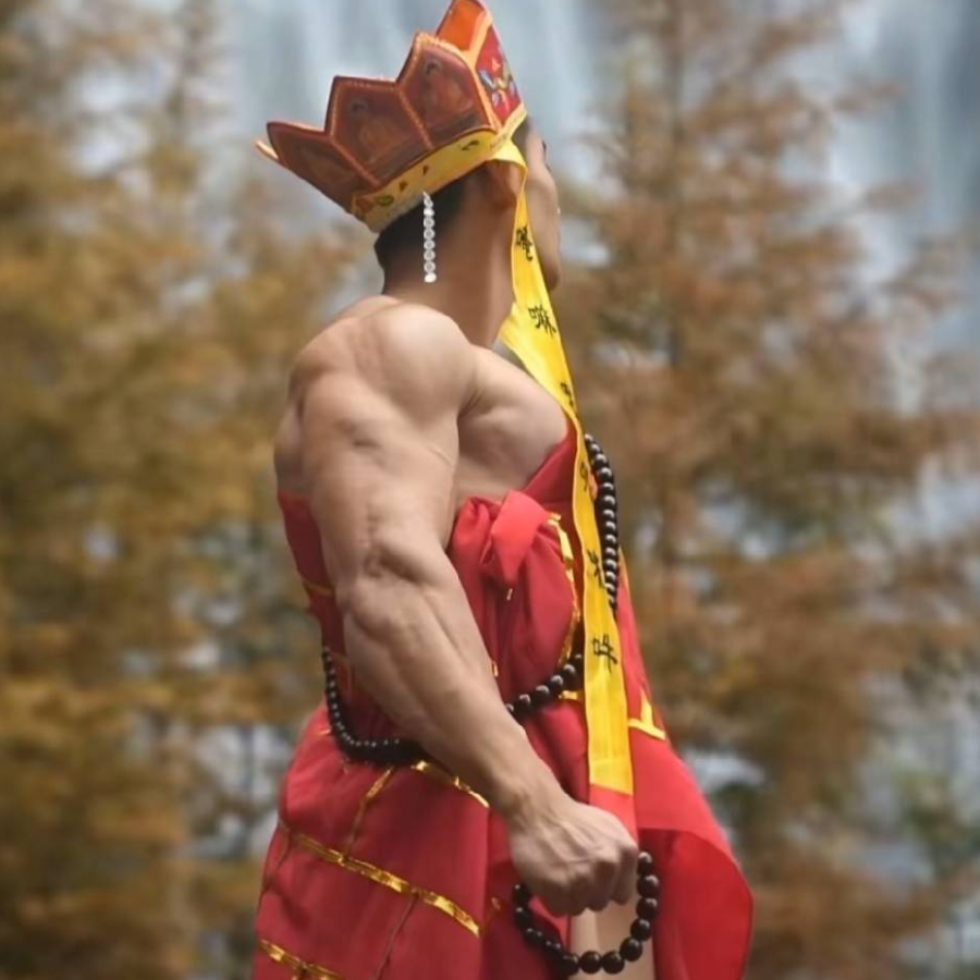 嘉宸
