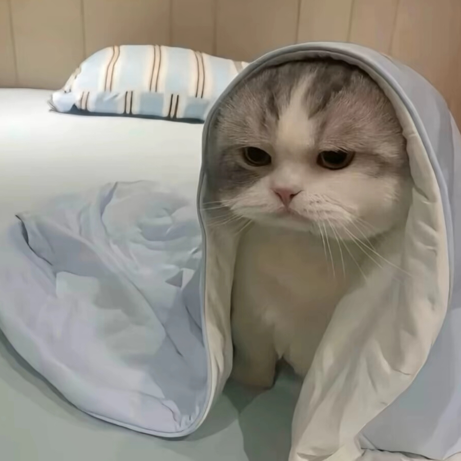 非悸