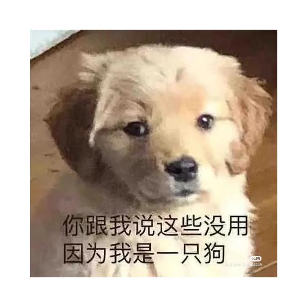 摆烂懒得想名字了