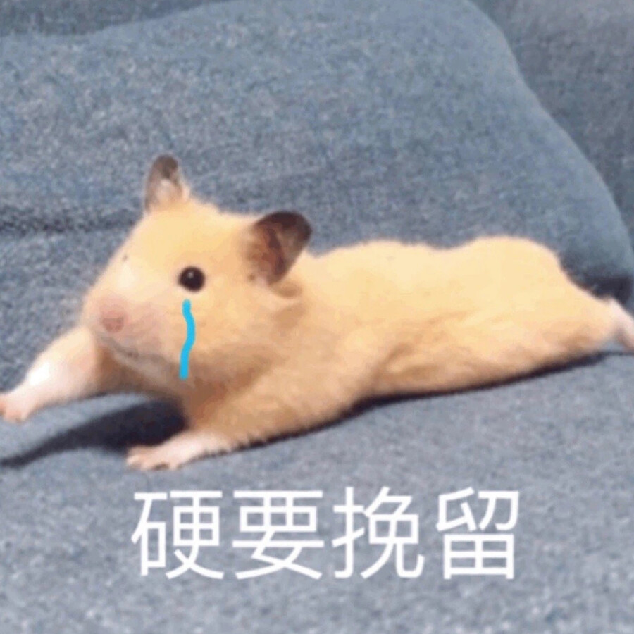 果果