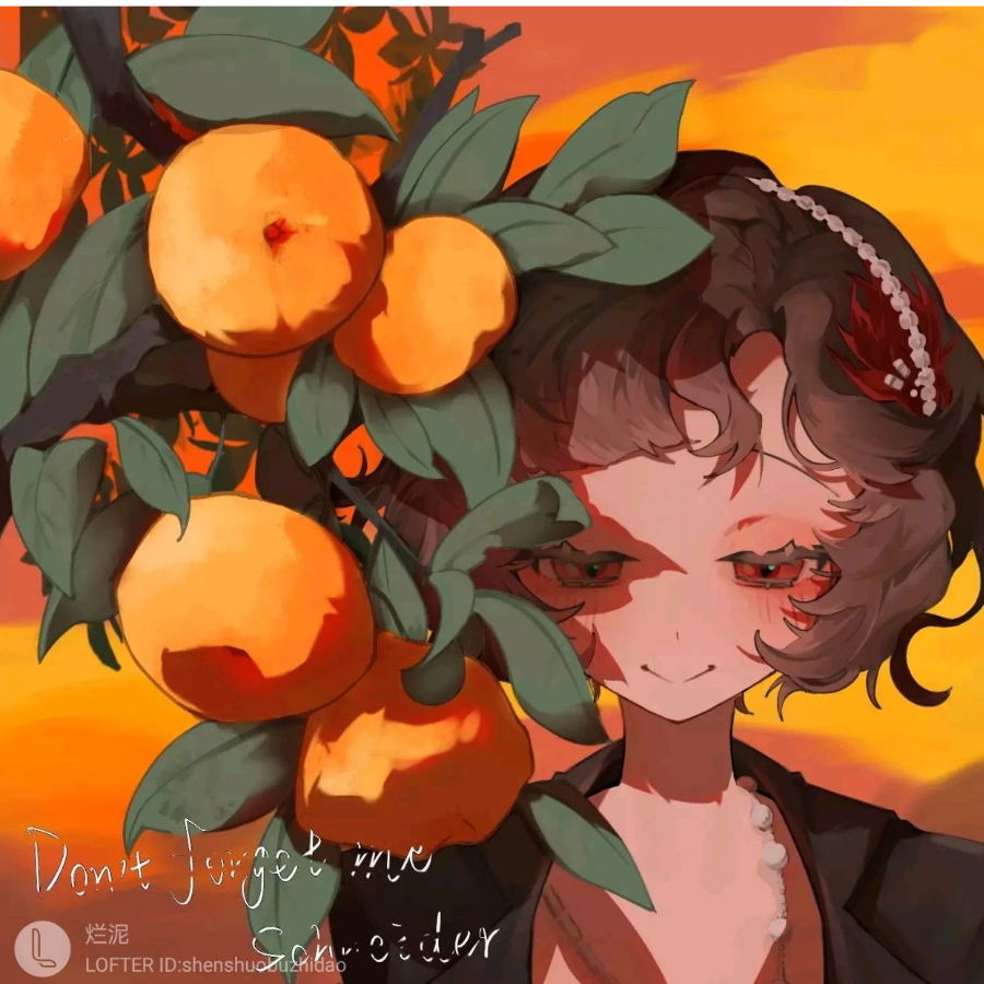 斯奈德 的 orange