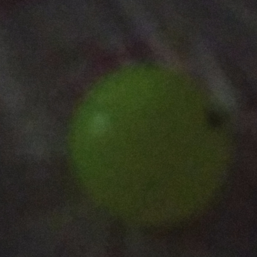 1559