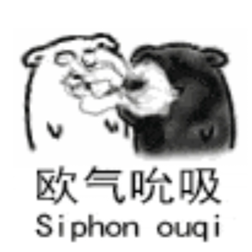 王也道长