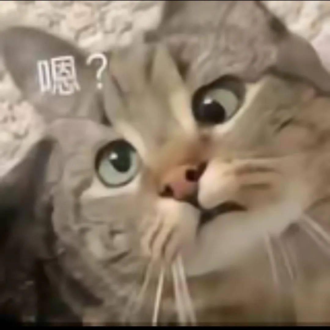 骑大鸟飞天