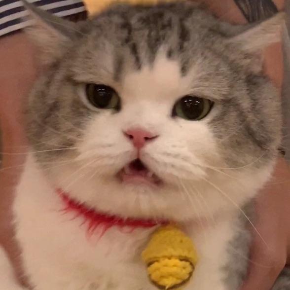 玛卡巴卡