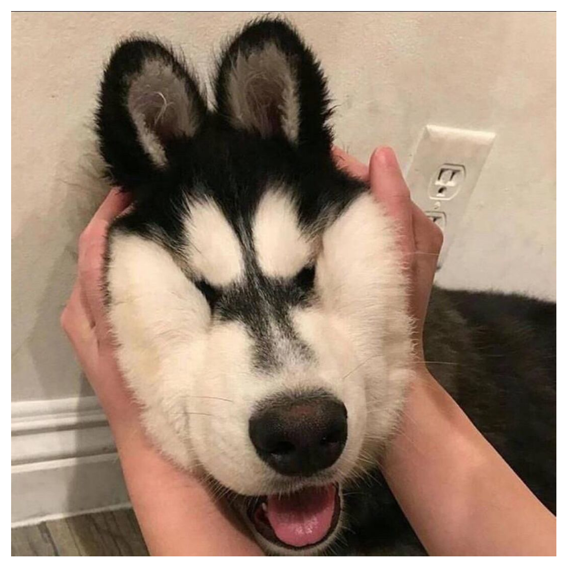 可乐味儿的吻