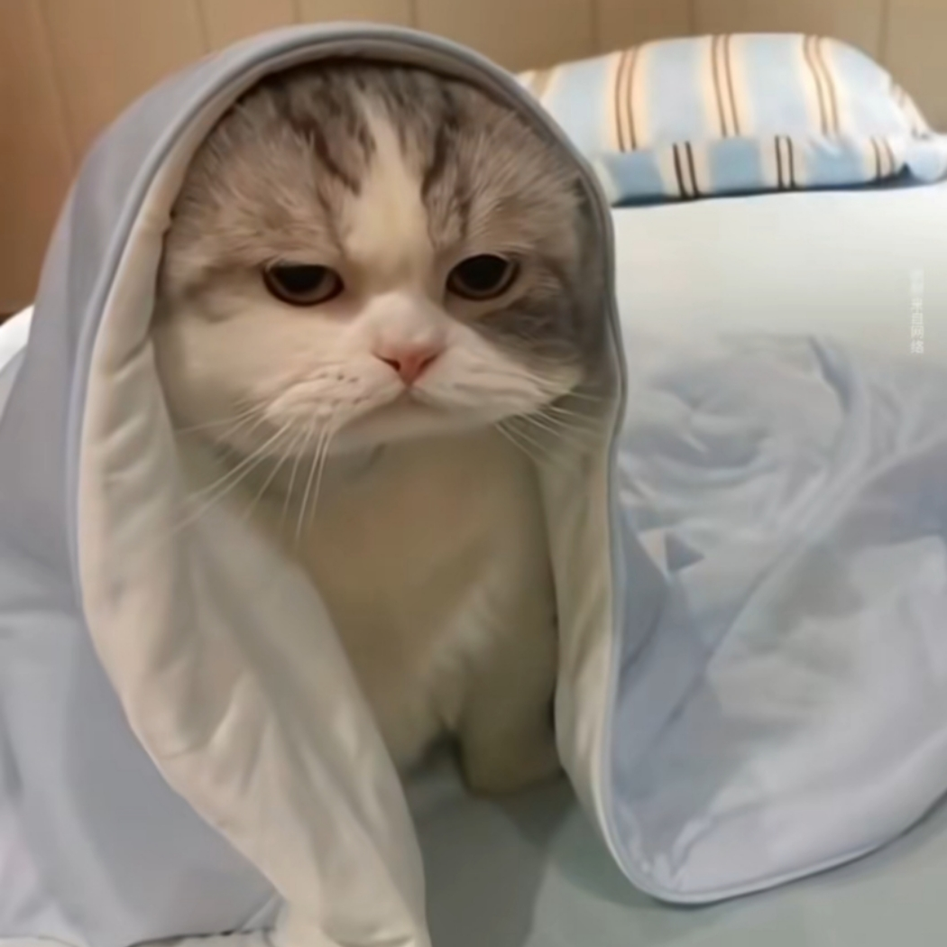 明月清风