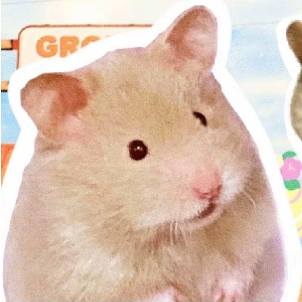 胖鼠