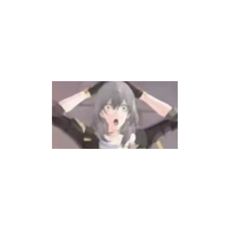 入机